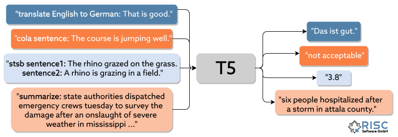 Several different task types